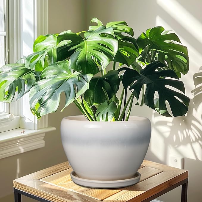 10 Inch Ceramic Planter Pot