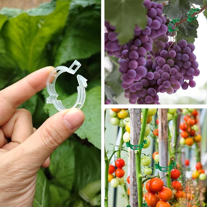 Plant Support Clips, Plastic Trellis Clips, Grape Vine Tomato Vine Vegetables