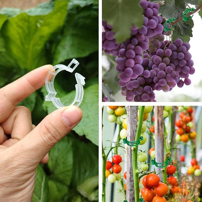 Plant Support Clips, Plastic Trellis Clips, Grape Vine Tomato Vine Vegetables