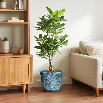 10 Inch Plant Pot