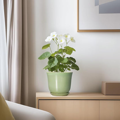 5.6 Inch Plant Pot