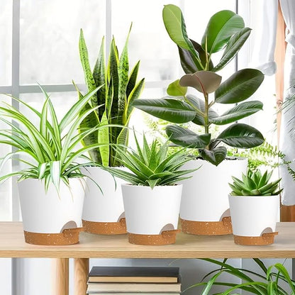 7/6.5/6/5.5/5/4 inch Self Watering Pots