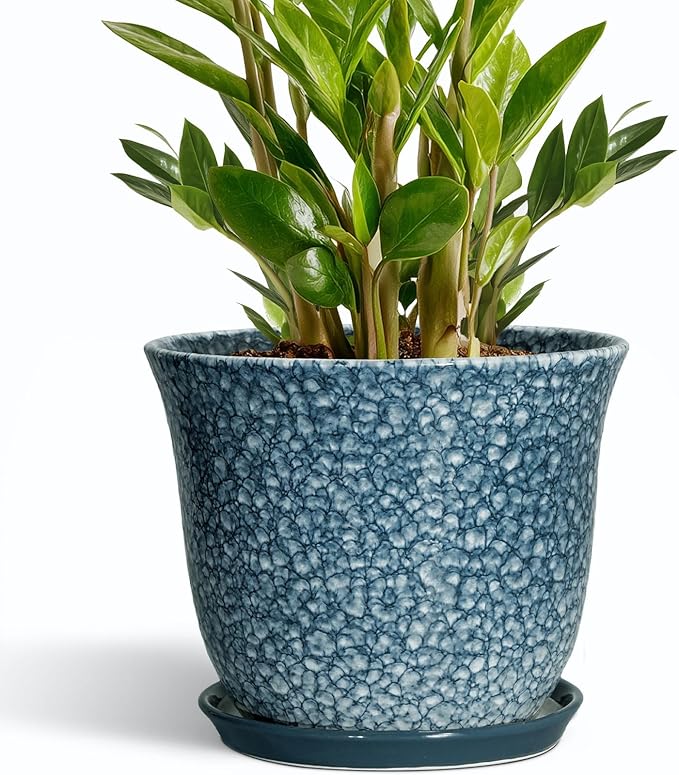 10 Inch Plant Pot