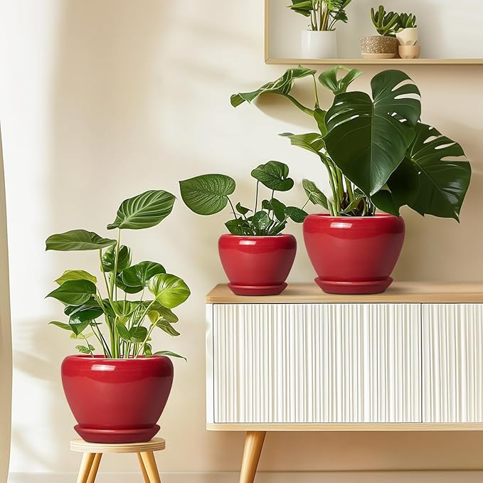 10 Inch Plant Pot
