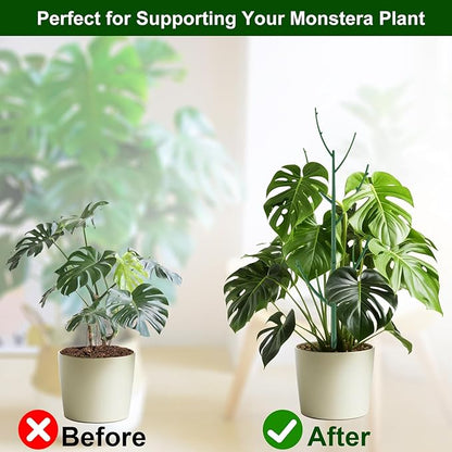 5 Pack Stackable Monstera Plant Support Stakes
