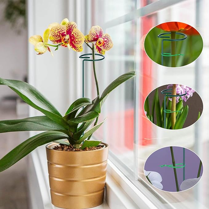 6PCS Single Stem Plant Support Stakes, 16 Inch Monstera Plant Support