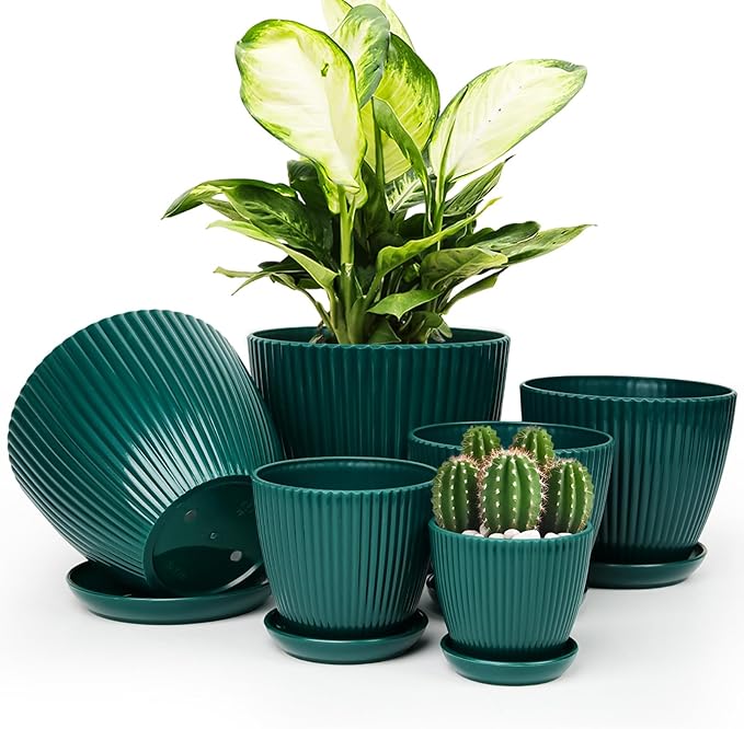 Plant Pots Indoor with Saucers & Drainage