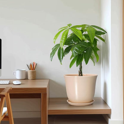 Ceramic Planter