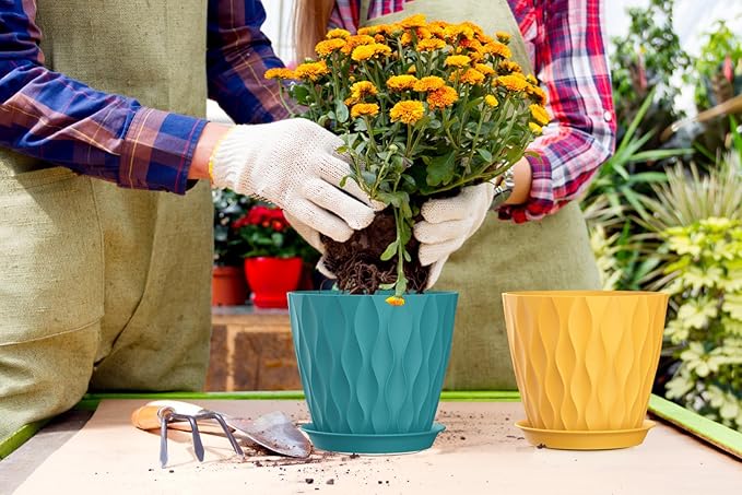 7 Inch Plant Pots 5 Pack, Flower Planters