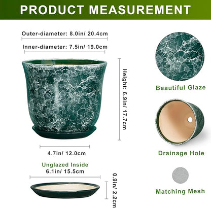 8 Inch Plant Pot