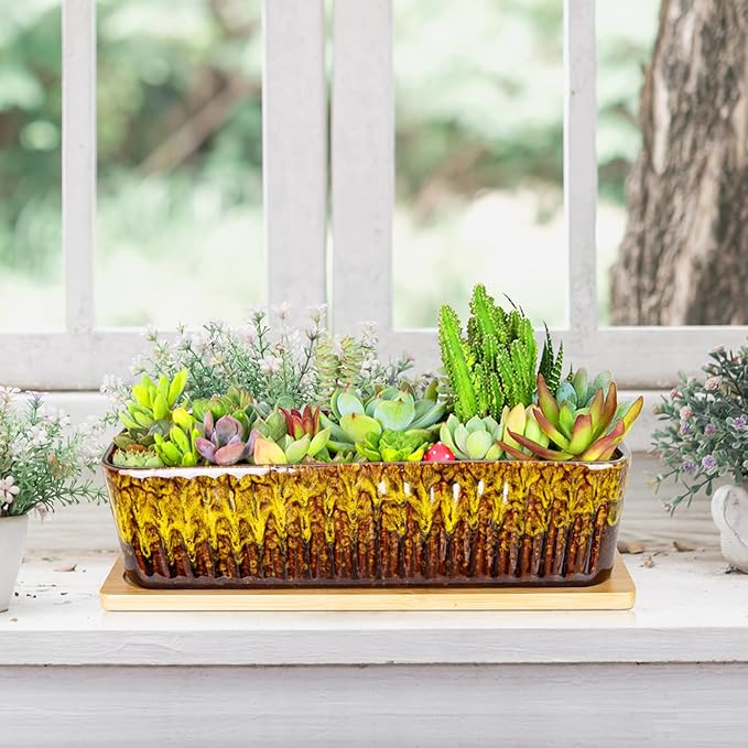 Succulent Pots - 12 Inch Large Succulent Planters