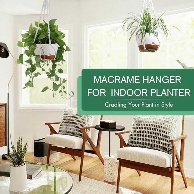montresor Set of 2-8 Inch Hanging Planters