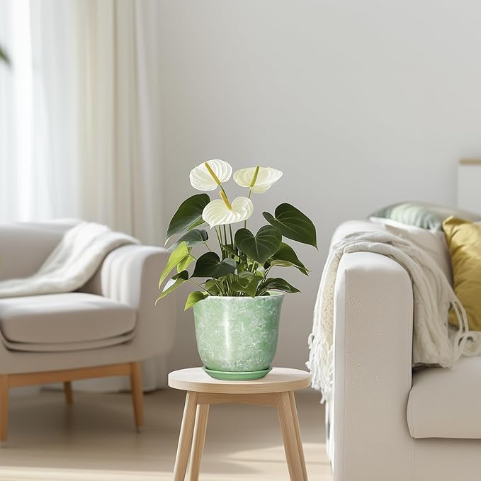 Ceramic Plant Pots