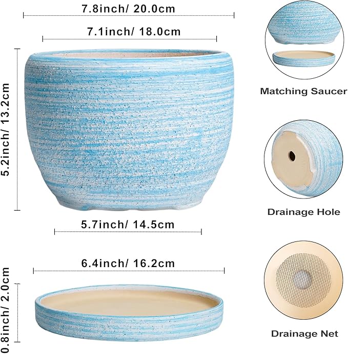 SQOWL Ceramic Planter