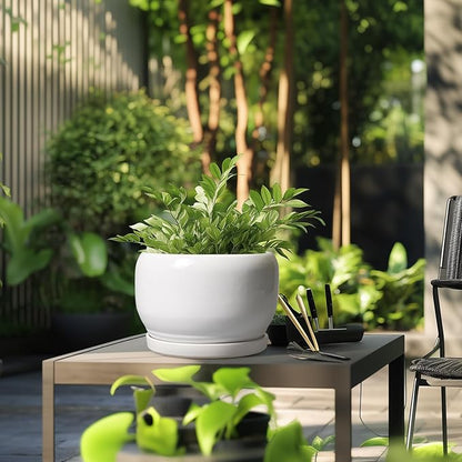 SQOWL Ceramic Pot for Plants