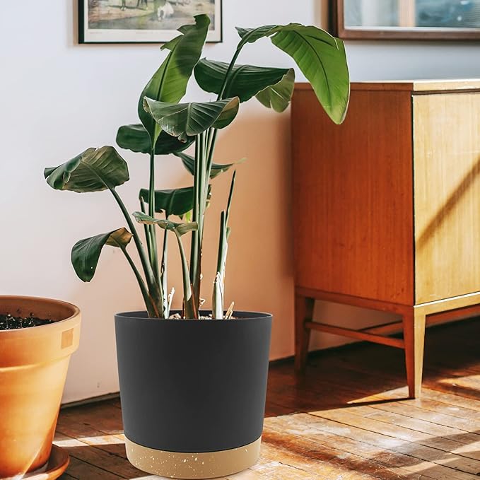 QCQHDU 10 inch Plant Pot, 2 Pack Planters