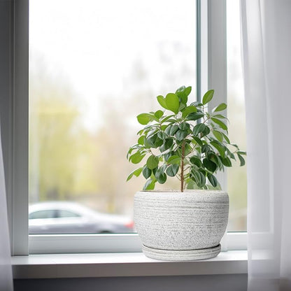 SQOWL Ceramic Plant Pots