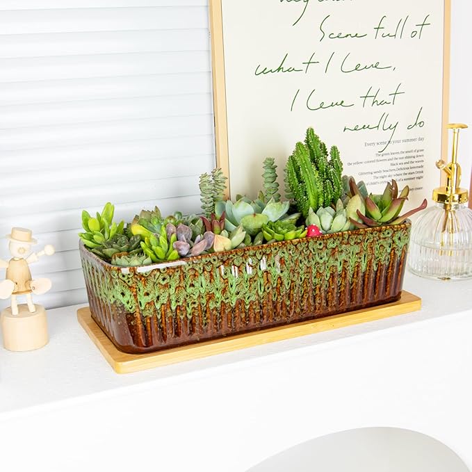Succulent Pots - 12 Inch Large Succulent Planters