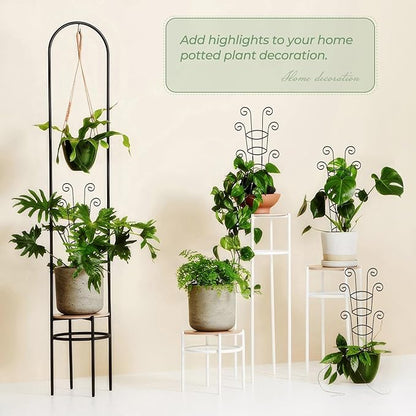 4 Pack 30 Inch Tall Metal Plant Trellis