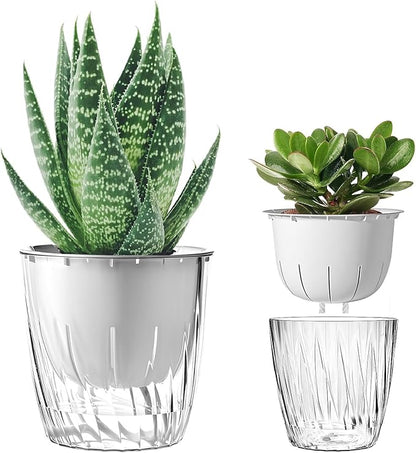 Self Watering Planters