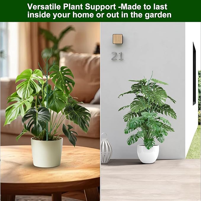 5 Pack Stackable Monstera Plant Support Stakes
