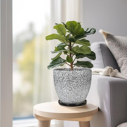 Ceramic Planter