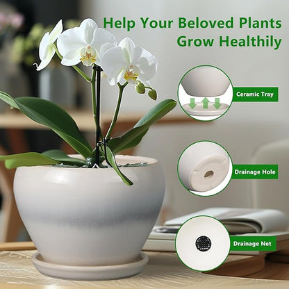 Planter Pot 6 Inch