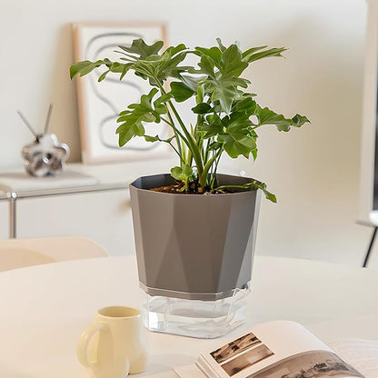 3 Pack Self Watering Flower Pots 6.5 Inch, Plant Pots