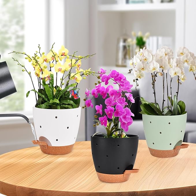 6 Inch Orchid Pots with Holes, 3 Pack Self Watering Planters