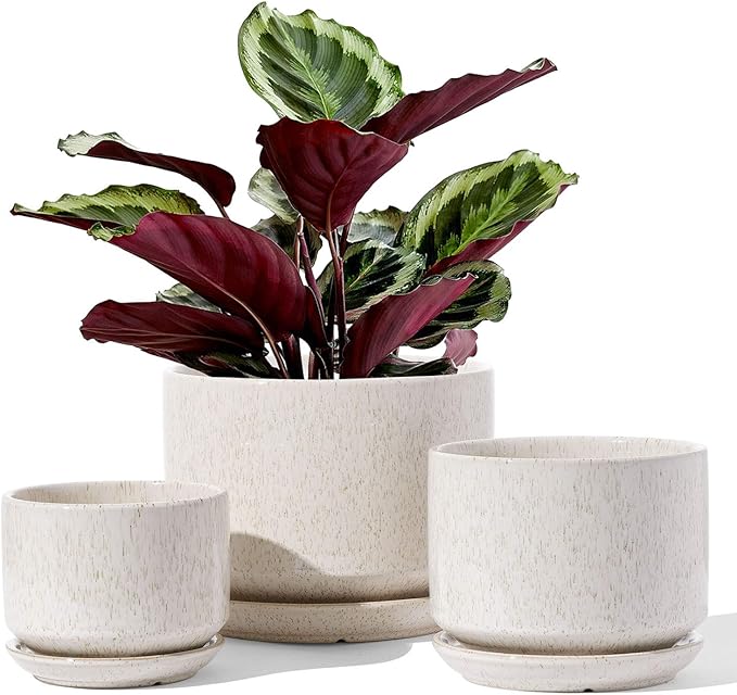 LE TAUCI Ceramic Plant Pots, 4.3+5.3+6.8 inch, Planters