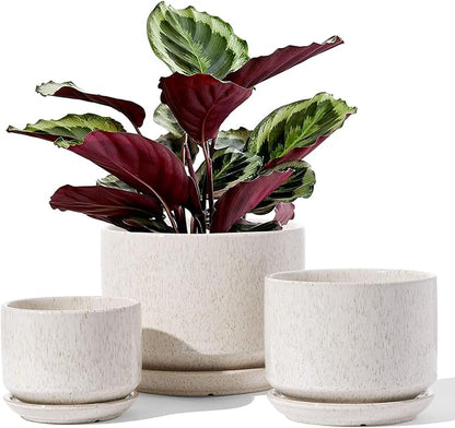 LE TAUCI Ceramic Plant Pots, 4.3+5.3+6.8 inch, Planters