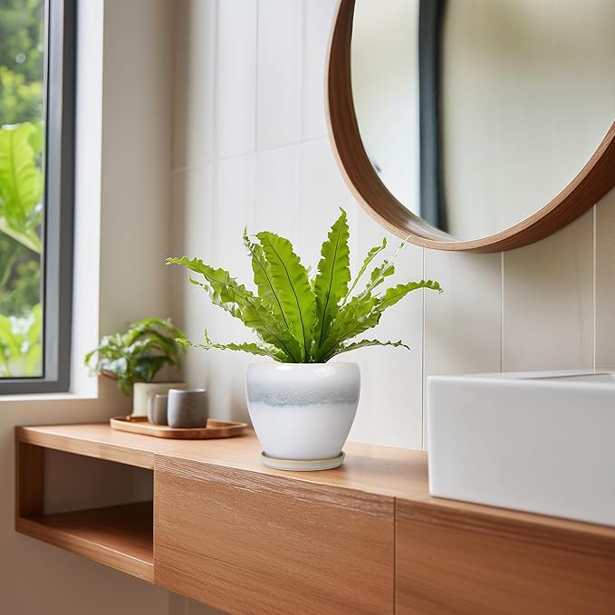 Ceramic Plant Pot
