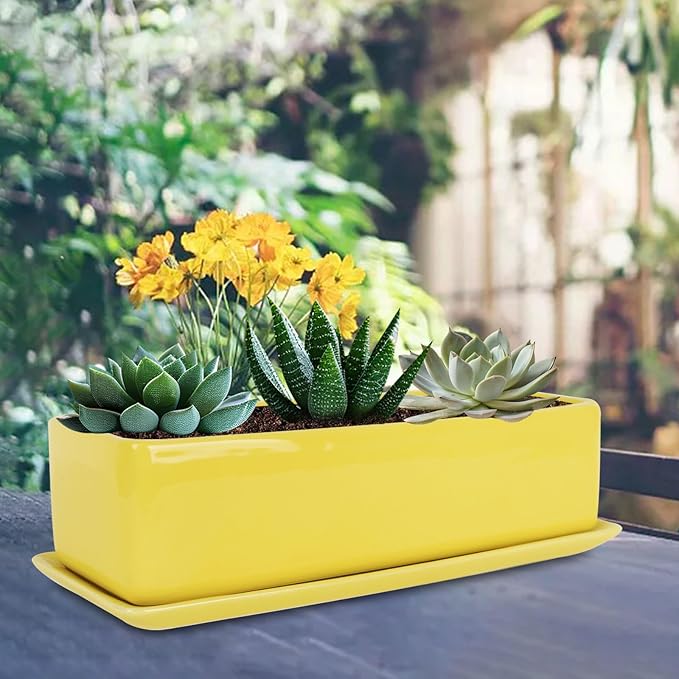 Vencer 14 Inch Rectangular Modern Minimalist Ceramic Succulent Planter Pot