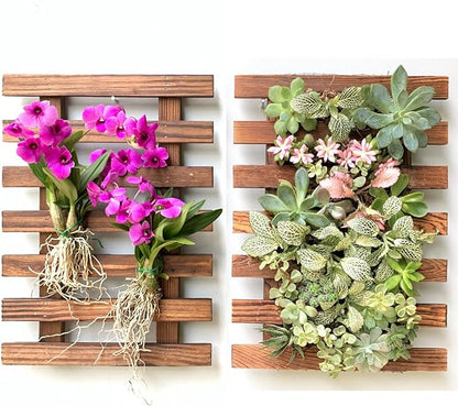 ShopLaLa Wall Planter