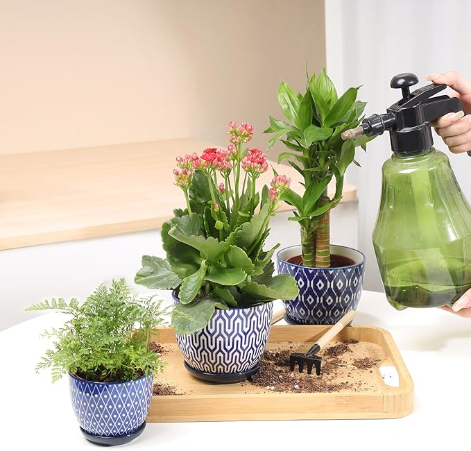 Selamica Ceramic Succulent Pots