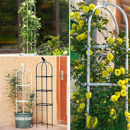 Garden Trellis for Climbing Plants, Rustproof Metal Pipe