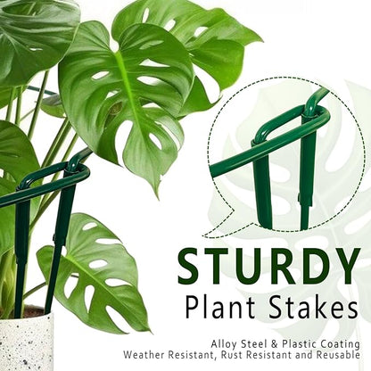 6 Pack Detachable & Assemblable Metal Plant Support Stakes