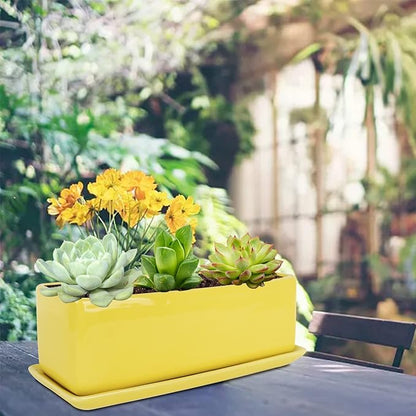Vencer 12 Inch Rectangular Modern Minimalist Ceramic Succulent Planter Pot