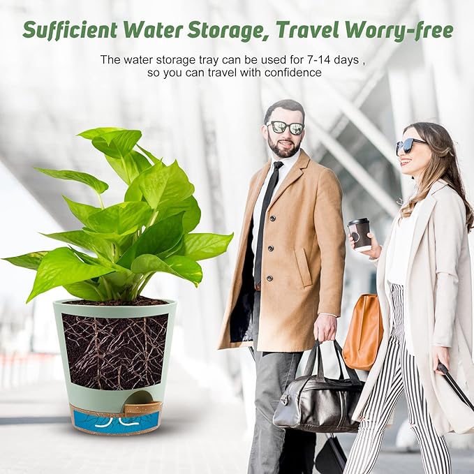 Indoor Self Watering Planters