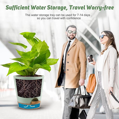 Indoor Self Watering Planters
