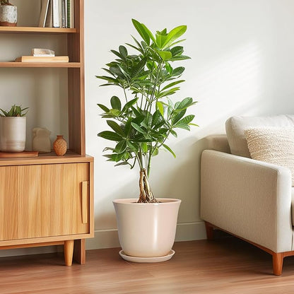Ceramic Planter