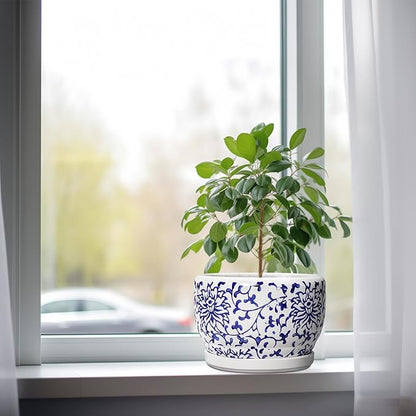 SQOWL Ceramic Pots for Plants