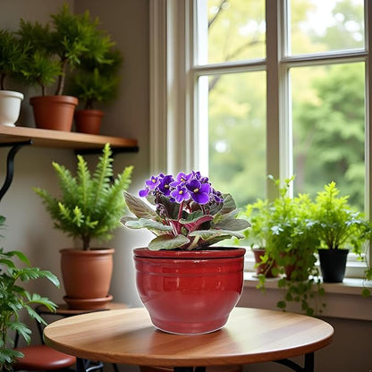 African Violet Pots Self Watering Round Ceramic Violet Pot