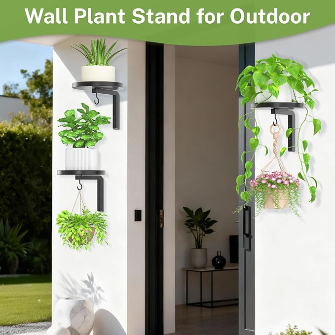 iDavosic.ly Wall Plant Holder Set of 3