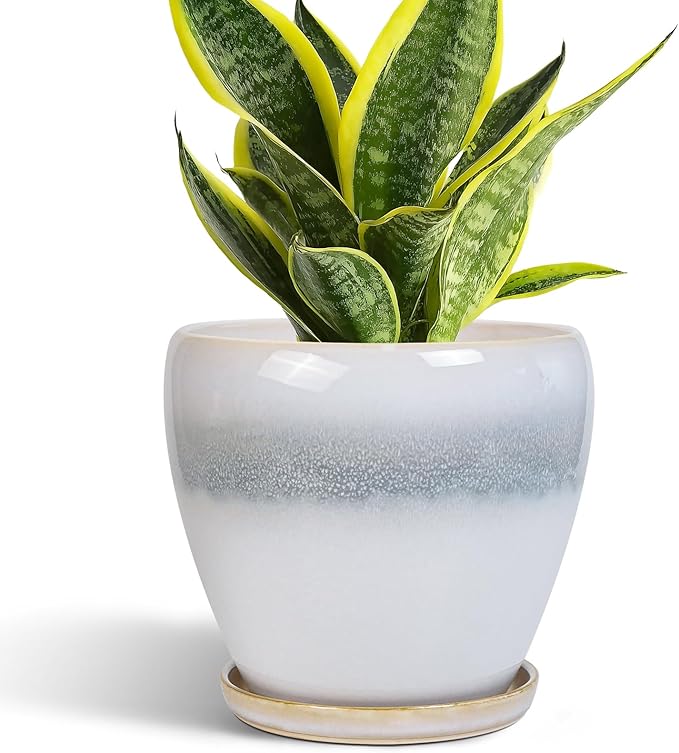 Ceramic Plant Pot