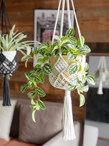 Hanging Planter with Patterns