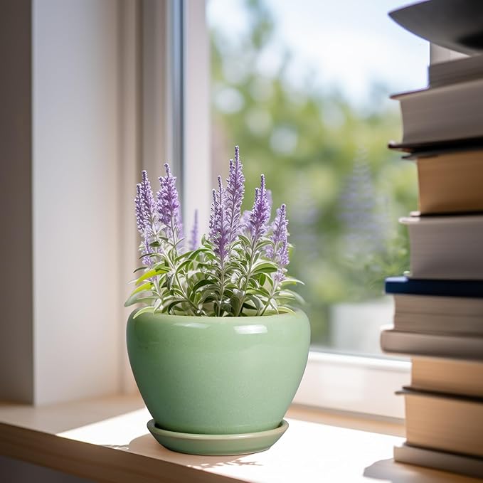 6 Inch Plant Pot