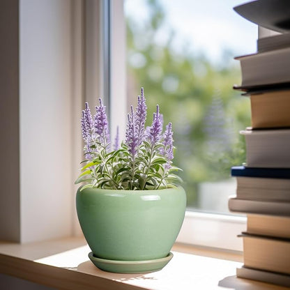 6 Inch Plant Pot
