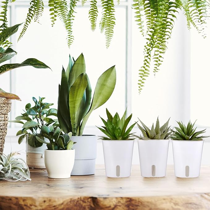30 Pcs 3 Inch Self Watering Pots Self Watering Planters