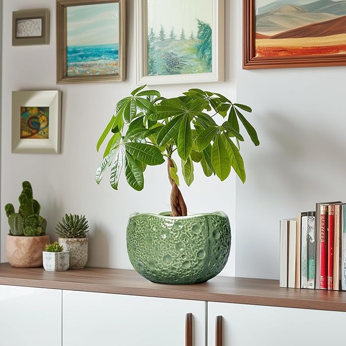 8 Inch Plant Pot